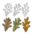 decorative elements of beautiful oak leaves vector image