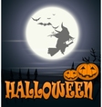witch flying over the moon vector image