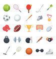 fitness equipment sport balls racket recreation vector image vector image