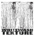 whitewash texture overlay vector image vector image
