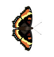 aglais milberti - milberts tortoiseshell butterfly vector image vector image