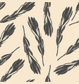 leucadendron tropical flowers vector image vector image