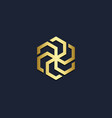 circle line polygon spin gold logo vector image