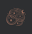 vintage line art elegant knot snake witchcraft vector image
