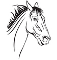 horse portrait vector image vector image