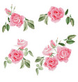 watercolor pink rose flower bouquet vector image vector image