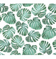 tropical seamless pattern monstera vector image