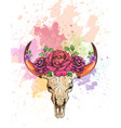 skull of a cow with horns decorated flowers vector image vector image