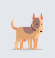 bull terrier cute dog icon furry human friend home vector image vector image