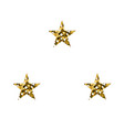 gold luxury stars vector image