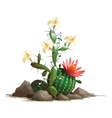 fancy blooming cactus in soil with flowers vector image