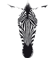 zebra head vector image