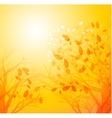 autumn leaves background vector image vector image