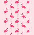 seamless flamingo pattern vector image