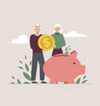 pension fund savings vector image