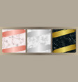 luxury marble set vector image vector image