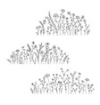 wild herbs and flowers doodle vector image