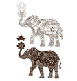 elephant decorated with indian ornament vector image