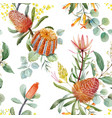 watercolor australian banksia pattern vector image vector image