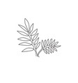 single continuous line drawing tropical leaves vector image