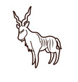 kudu standing graphic vector image vector image