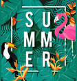 tropical flowers background summer design vector image