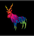 kudu standing graphic vector image vector image