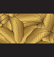 luxury nature gold line arts pattern on black vector image