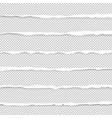 ripped paper vector image