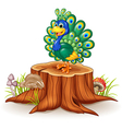 cute peacock on tree stump vector image vector image