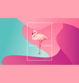 tropical vacation layout flamingo bird for web vector image