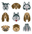 dog heads set vector image vector image