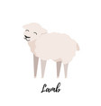 cute lamb flat isolated domestic sheep kid vector image vector image