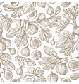 fig seamless pattern antiquity garden print vector image