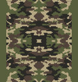 digital fashionable camouflage pattern vector image