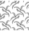 seamless pattern with peonies leaves vector image vector image