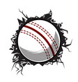 cricket ball cracked wall club graphic vector image vector image