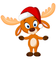 cute cartoon deer vector image