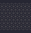sophisticated geometric structure outline vector image vector image