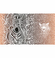 motif background zebras and leopard vector image