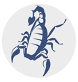 scorpion icon vector image