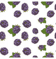 colored seamless pattern with blackberries vector image