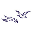 flying sea gulls sketch style blue lines vector image vector image