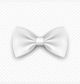 3d realistic white bow tie icon closeup vector image