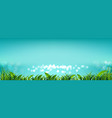 sky with fresh green grass and light bokeh vector image