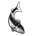 codfish icon isolated on white background design vector image