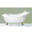 traditional bathtub vector image