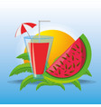 set summer icon over blue background vector image