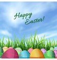 easter eggs on grass vector image vector image