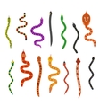 flat snakes collection isolated on white vector image